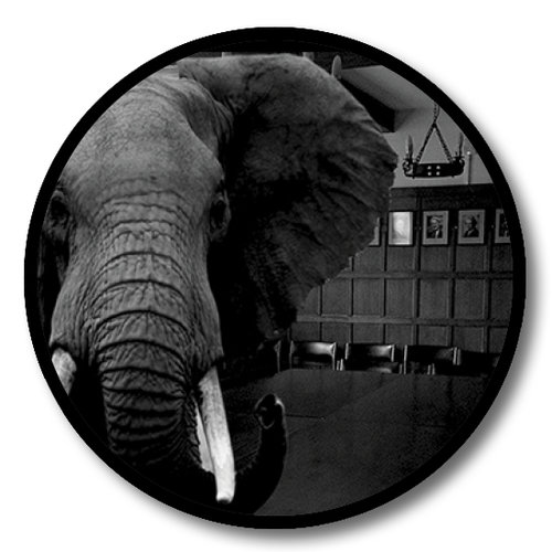 overcoming confirmation bias in brand building